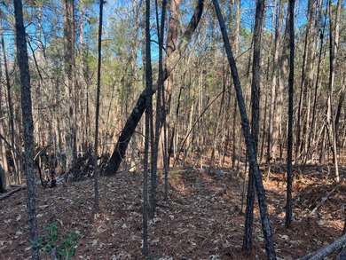 This almost 1/3 acre lot is located in the Monticello Sub very on Monticello Golf Club At Savannah Lakes in South Carolina - for sale on GolfHomes.com, golf home, golf lot