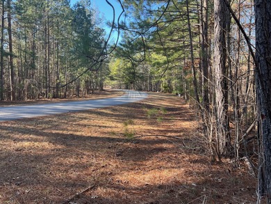 This almost 1/3 acre lot is located in the Monticello Sub very on Monticello Golf Club At Savannah Lakes in South Carolina - for sale on GolfHomes.com, golf home, golf lot