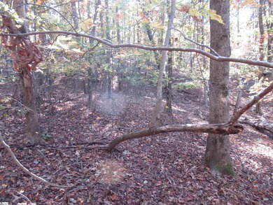 Nice building lot, wooded but not overgrown. Chickasaw Point is on The Trail At Chickasaw Pointe in South Carolina - for sale on GolfHomes.com, golf home, golf lot