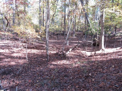 Nice building lot, wooded but not overgrown. Chickasaw Point is on The Trail At Chickasaw Pointe in South Carolina - for sale on GolfHomes.com, golf home, golf lot