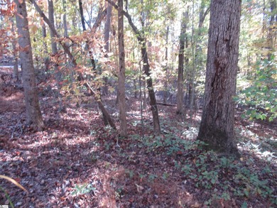 Nice building lot, wooded but not overgrown. Chickasaw Point is on The Trail At Chickasaw Pointe in South Carolina - for sale on GolfHomes.com, golf home, golf lot
