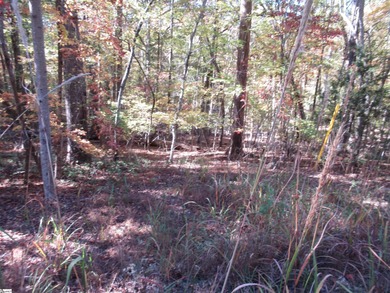 Nice building lot, wooded but not overgrown. Chickasaw Point is on The Trail At Chickasaw Pointe in South Carolina - for sale on GolfHomes.com, golf home, golf lot