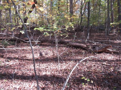 Nice building lot, wooded but not overgrown. Chickasaw Point is on The Trail At Chickasaw Pointe in South Carolina - for sale on GolfHomes.com, golf home, golf lot