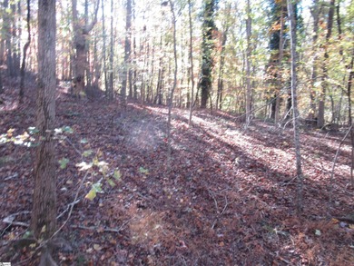 Nice building lot, wooded but not overgrown. Chickasaw Point is on The Trail At Chickasaw Pointe in South Carolina - for sale on GolfHomes.com, golf home, golf lot