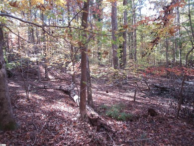 Nice building lot, wooded but not overgrown. Chickasaw Point is on The Trail At Chickasaw Pointe in South Carolina - for sale on GolfHomes.com, golf home, golf lot
