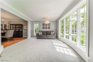 Welcome to this beautifully updated 4 bedroom, 2.5 bath home in on StoneWater Golf Club in Ohio - for sale on GolfHomes.com, golf home, golf lot