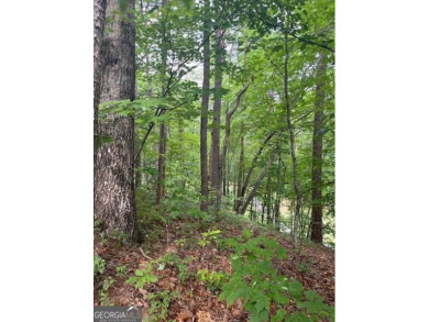 BUILD YOUR DREAM HOME ON THIS EXCEPTIONAL LOT WITH PRIME GOLF on Innsbruck Resort and Golf Club in Georgia - for sale on GolfHomes.com, golf home, golf lot