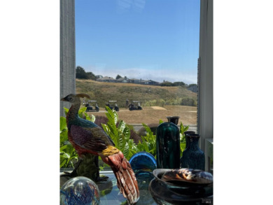 Come see this lovingly remodeled home with fantastic Ocean and on The New Links At Bodega Harbour in California - for sale on GolfHomes.com, golf home, golf lot