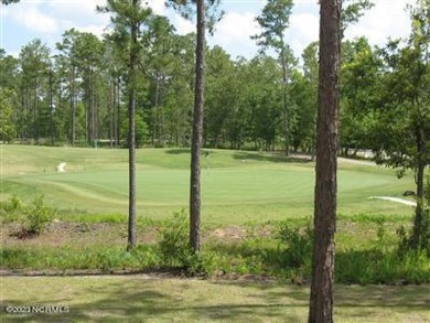 Rivers Edge Golf community is a beautiful community with many on Rivers Edge Golf Club in North Carolina - for sale on GolfHomes.com, golf home, golf lot