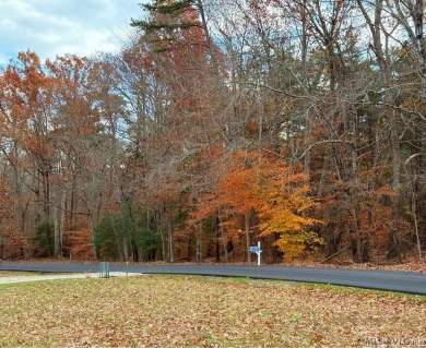 Big 4.577 Acre lot (4 lots) in Merifield Acres Subdivision on Kinderton Country Club in Virginia - for sale on GolfHomes.com, golf home, golf lot