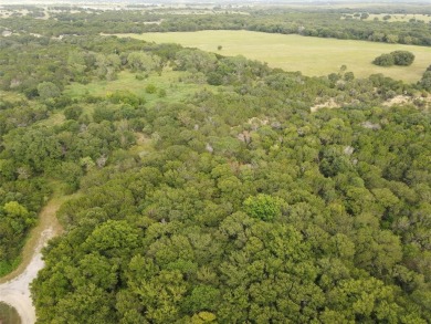 Welcome to prestigious White Bluff on Lake Whitney. 3 lots on White Bluff Resort - New Course in Texas - for sale on GolfHomes.com, golf home, golf lot