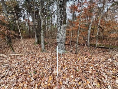 Big 4.577 Acre lot (4 lots) in Merifield Acres Subdivision on Kinderton Country Club in Virginia - for sale on GolfHomes.com, golf home, golf lot