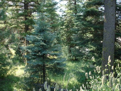 Wonderful lot in the beautiful Aspen Ridge Subdivision. Mature on McCall Municipal Golf Course in Idaho - for sale on GolfHomes.com, golf home, golf lot
