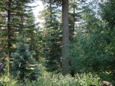 Wonderful lot in the beautiful Aspen Ridge Subdivision. Mature on McCall Municipal Golf Course in Idaho - for sale on GolfHomes.com, golf home, golf lot