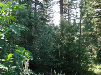 Wonderful lot in the beautiful Aspen Ridge Subdivision. Mature on McCall Municipal Golf Course in Idaho - for sale on GolfHomes.com, golf home, golf lot