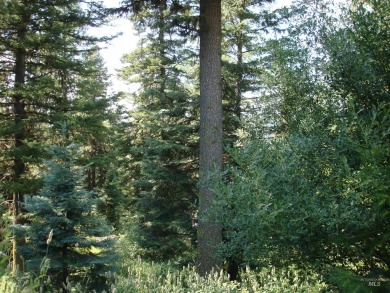 Wonderful lot in the beautiful Aspen Ridge Subdivision. Mature on McCall Municipal Golf Course in Idaho - for sale on GolfHomes.com, golf home, golf lot