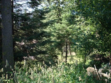Wonderful lot in the beautiful Aspen Ridge Subdivision. Mature on McCall Municipal Golf Course in Idaho - for sale on GolfHomes.com, golf home, golf lot