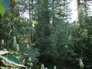 Wonderful lot in the beautiful Aspen Ridge Subdivision. Mature on McCall Municipal Golf Course in Idaho - for sale on GolfHomes.com, golf home, golf lot