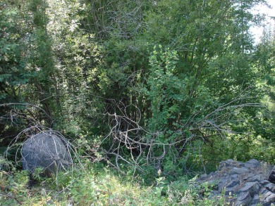 Enjoy a sense of seclusion on this beautiful lot in the desired on McCall Municipal Golf Course in Idaho - for sale on GolfHomes.com, golf home, golf lot