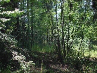 Enjoy a sense of seclusion on this beautiful lot in the desired on McCall Municipal Golf Course in Idaho - for sale on GolfHomes.com, golf home, golf lot