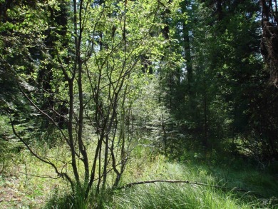 Enjoy a sense of seclusion on this beautiful lot in the desired on McCall Municipal Golf Course in Idaho - for sale on GolfHomes.com, golf home, golf lot