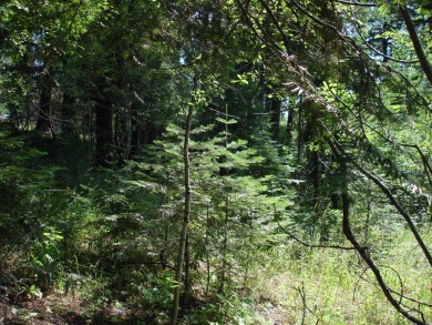 Enjoy a sense of seclusion on this beautiful lot in the desired on McCall Municipal Golf Course in Idaho - for sale on GolfHomes.com, golf home, golf lot