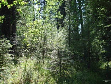 Enjoy a sense of seclusion on this beautiful lot in the desired on McCall Municipal Golf Course in Idaho - for sale on GolfHomes.com, golf home, golf lot