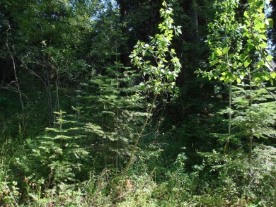 Enjoy a sense of seclusion on this beautiful lot in the desired on McCall Municipal Golf Course in Idaho - for sale on GolfHomes.com, golf home, golf lot