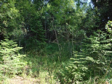 Enjoy a sense of seclusion on this beautiful lot in the desired on McCall Municipal Golf Course in Idaho - for sale on GolfHomes.com, golf home, golf lot