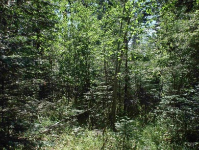 Enjoy a sense of seclusion on this beautiful lot in the desired on McCall Municipal Golf Course in Idaho - for sale on GolfHomes.com, golf home, golf lot