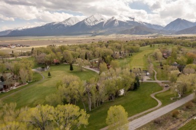 Golf Course Dream in Colorado Mountains! on Collegiate Peaks Golf Course in Colorado - for sale on GolfHomes.com, golf home, golf lot