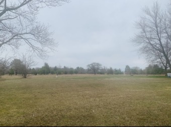 Looking to build your dream home at Bayles Lake?!  Look no on Lakeview Country Club in Illinois - for sale on GolfHomes.com, golf home, golf lot