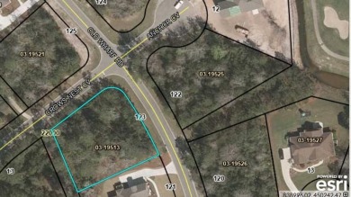 Here's your chance to build your dream home on this .55 acre on Oak Grove Island Golf and Country Club in Georgia - for sale on GolfHomes.com, golf home, golf lot