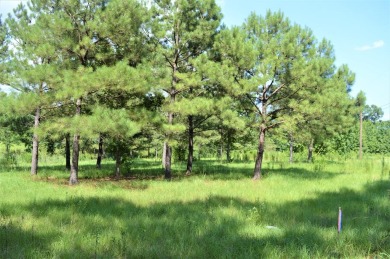 +/- 5 acres located in Fernwood Estates Subdivision across the on Fernwood Country Club in Mississippi - for sale on GolfHomes.com, golf home, golf lot