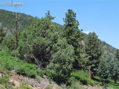 1-Acre Lot in the scenic Indian Head area of Perry Park * on Perry Park Country Club in Colorado - for sale on GolfHomes.com, golf home, golf lot