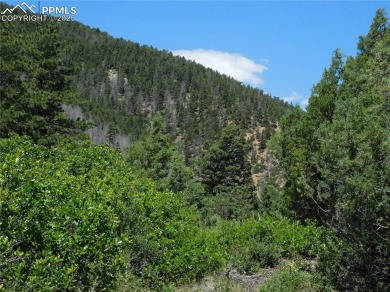 1-Acre Lot in the scenic Indian Head area of Perry Park * on Perry Park Country Club in Colorado - for sale on GolfHomes.com, golf home, golf lot