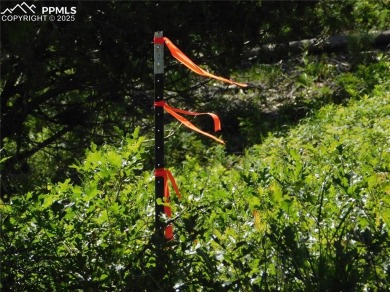 1-Acre Lot in the scenic Indian Head area of Perry Park * on Perry Park Country Club in Colorado - for sale on GolfHomes.com, golf home, golf lot