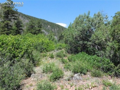 1-Acre Lot in the scenic Indian Head area of Perry Park * on Perry Park Country Club in Colorado - for sale on GolfHomes.com, golf home, golf lot