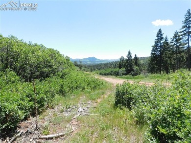 1-Acre Lot in the scenic Indian Head area of Perry Park * on Perry Park Country Club in Colorado - for sale on GolfHomes.com, golf home, golf lot