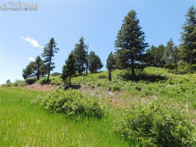 1-Acre Lot in the scenic Indian Head area of Perry Park * on Perry Park Country Club in Colorado - for sale on GolfHomes.com, golf home, golf lot