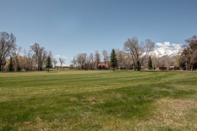 Golf Course Dream in Colorado Mountains! on Collegiate Peaks Golf Course in Colorado - for sale on GolfHomes.com, golf home, golf lot