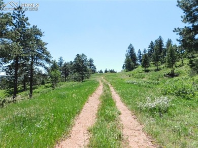 1-Acre Lot in the scenic Indian Head area of Perry Park * on Perry Park Country Club in Colorado - for sale on GolfHomes.com, golf home, golf lot