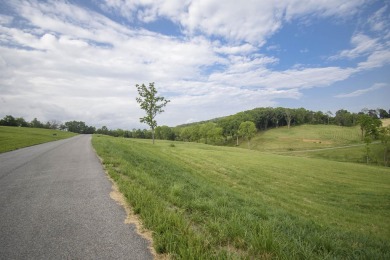 Welcome to Tanager Cove! This upscale lakefront community is on Pulaski Country Club in Virginia - for sale on GolfHomes.com, golf home, golf lot