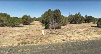 46 acre lot in nice residential area. Quiet neighborhood on Concho Valley Country Club in Arizona - for sale on GolfHomes.com, golf home, golf lot