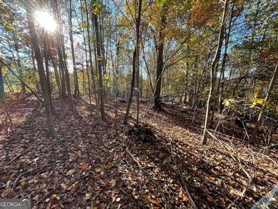 Build your dream home on the fairway in Chickasaw Point-Lake on The Trail At Chickasaw Pointe in South Carolina - for sale on GolfHomes.com, golf home, golf lot