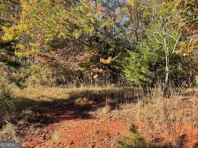 Build your dream home on the fairway in Chickasaw Point-Lake on The Trail At Chickasaw Pointe in South Carolina - for sale on GolfHomes.com, golf home, golf lot