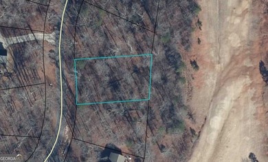 Build your dream home on the fairway in Chickasaw Point-Lake on The Trail At Chickasaw Pointe in South Carolina - for sale on GolfHomes.com, golf home, golf lot