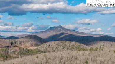 Enjoy all the amenities and beauty of Linville Land Harbor from on Land Harbor Golf Course in North Carolina - for sale on GolfHomes.com, golf home, golf lot