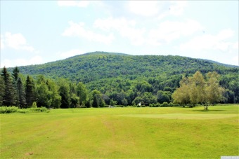 Let your mind consider the spectacular possibilities of a 55 on Windham Country Club in New York - for sale on GolfHomes.com, golf home, golf lot