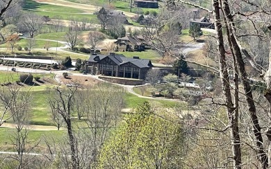 MUST SEE!!! Located in the prestigious community of Mountain on Mountain Harbour Golf Club in North Carolina - for sale on GolfHomes.com, golf home, golf lot